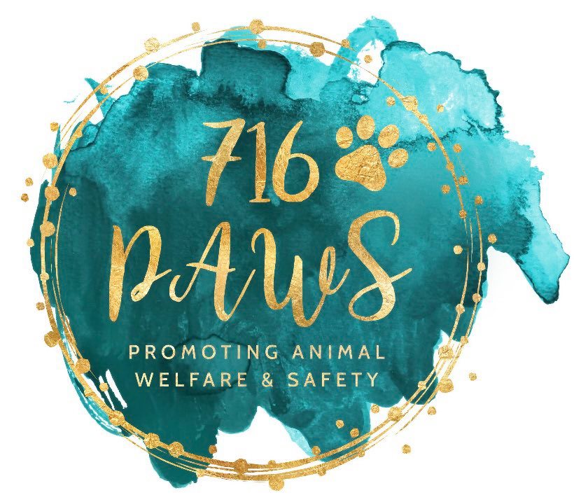 FOOD DONATION for 716 PAWS - Nickel City Pet Pantry