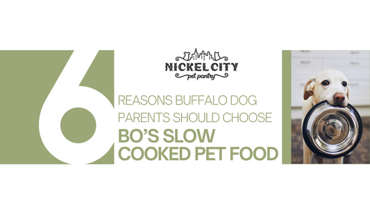 Six Reasons Buffalo Dog Parents Should Choose Bo’s Slow Cooked Pet Food from Nickel City Pet Pantry