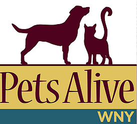 Pets Alive WNY Wishlist