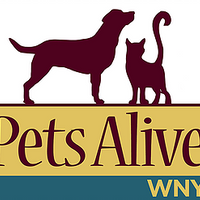 FOOD DONATION for Pets Alive WNY - Nickel City Pet Pantry