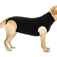 Suiticals Recovery Suit - Nickel City Pet Pantry