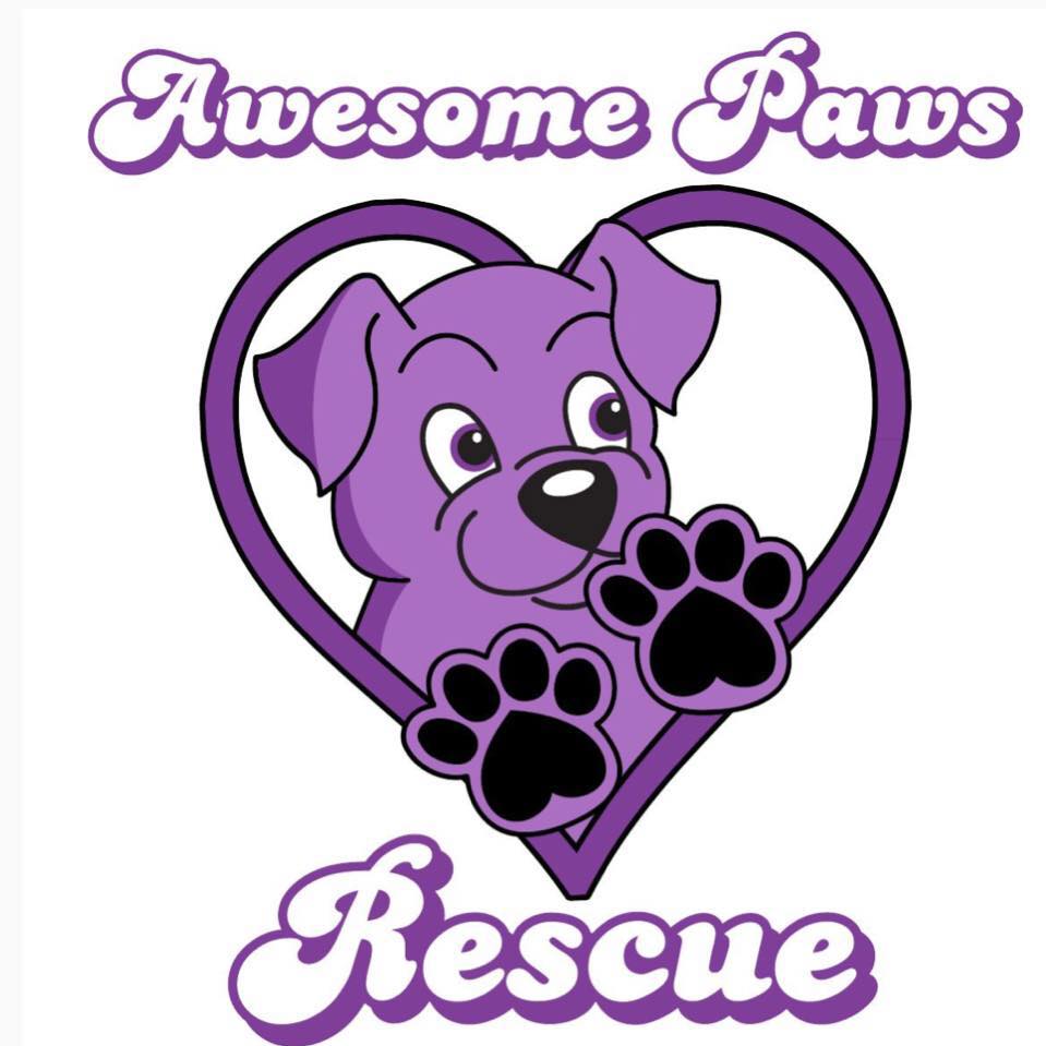 FOOD DONATION for Awesome Paws Rescue - Nickel City Pet Pantry