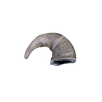 Water Buffalo Horn - Nickel City Pet Pantry