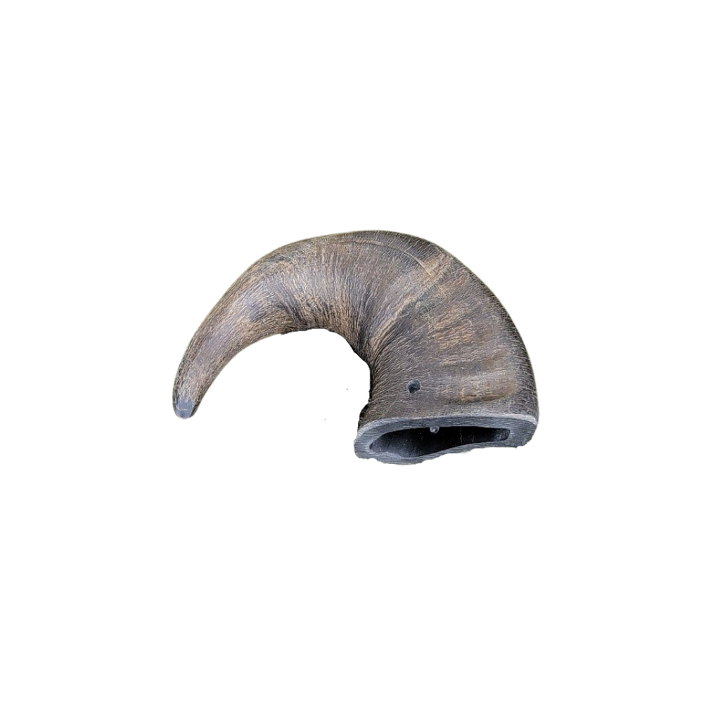 Water Buffalo Horn - Nickel City Pet Pantry