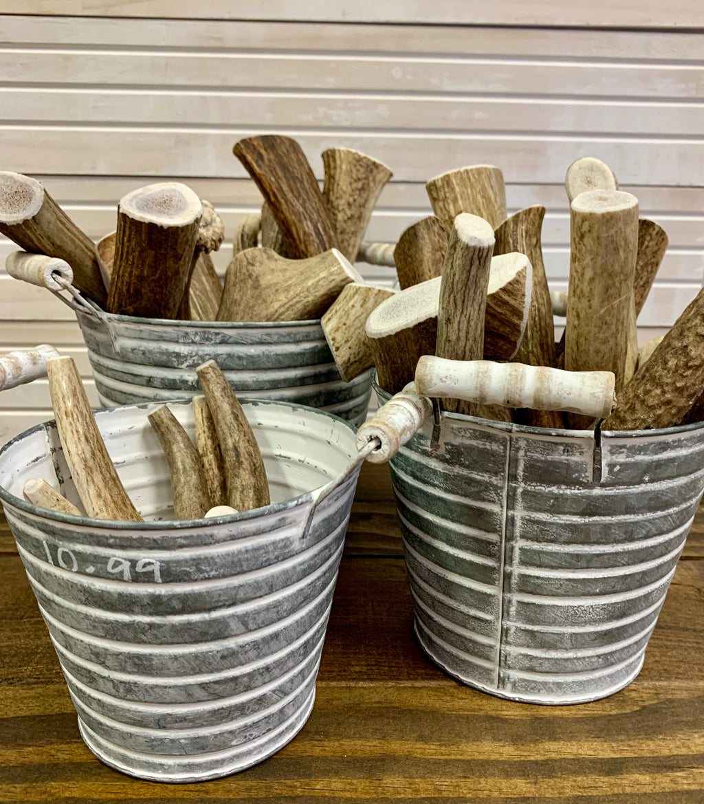 Elk Antlers - Nickel City Pet Pantry