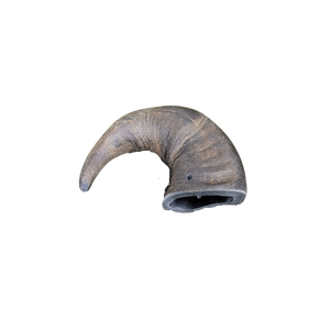 Water Buffalo Horn - Nickel City Pet Pantry