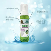 Yard Dog Expressions Waterless Shampoo