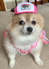 Pomeranian wearing pink bison trucker hat for dogs