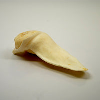 Lamb Ear Chews - Nickel City Pet Pantry