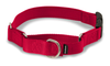 Martingale Collar with Quick Snap Buckle - Nickel City Pet Pantry